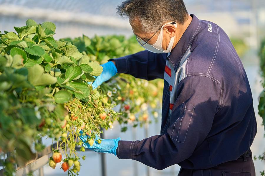 産業分野のカーボンニュートラルにも貢献